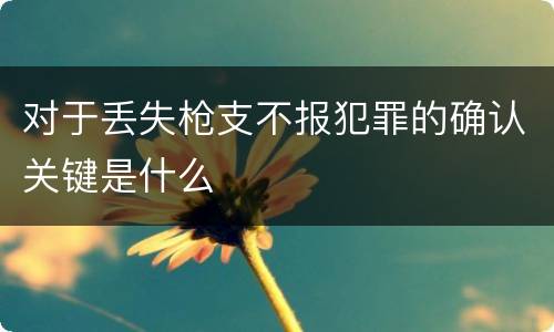 对于丢失枪支不报犯罪的确认关键是什么
