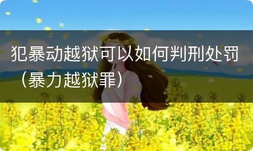 犯暴动越狱可以如何判刑处罚（暴力越狱罪）