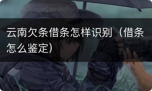 云南欠条借条怎样识别（借条怎么鉴定）