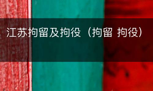 江苏拘留及拘役（拘留 拘役）