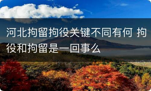 河北拘留拘役关键不同有何 拘役和拘留是一回事么