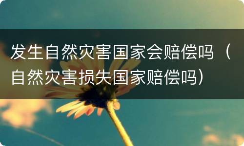 发生自然灾害国家会赔偿吗（自然灾害损失国家赔偿吗）