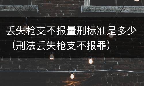 丢失枪支不报量刑标准是多少（刑法丢失枪支不报罪）