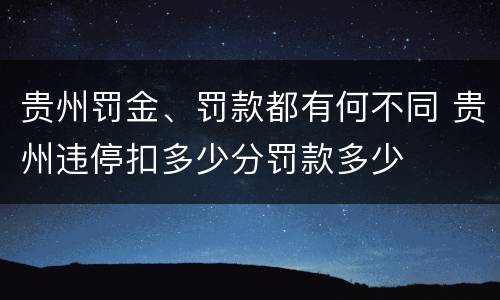 贵州罚金、罚款都有何不同 贵州违停扣多少分罚款多少