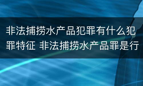 非法捕捞水产品犯罪有什么犯罪特征 非法捕捞水产品罪是行为犯吗