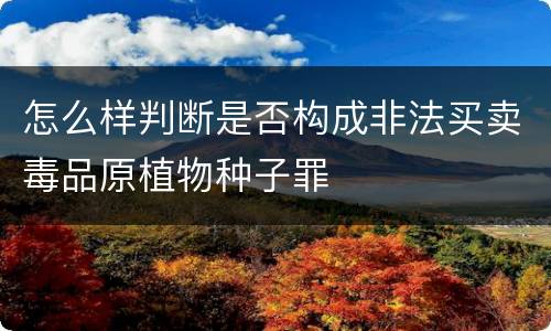 怎么样判断是否构成非法买卖毒品原植物种子罪