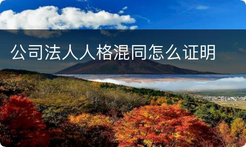 公司法人人格混同怎么证明