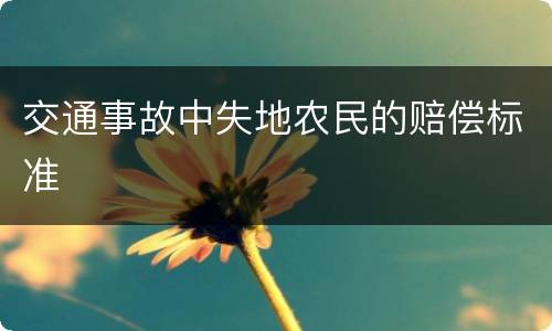 交通事故中失地农民的赔偿标准