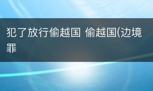 犯了放行偷越国 偷越国(边境罪
