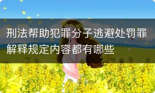 刑法帮助犯罪分子逃避处罚罪解释规定内容都有哪些