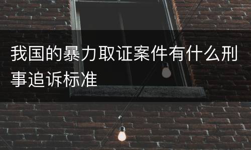 我国的暴力取证案件有什么刑事追诉标准