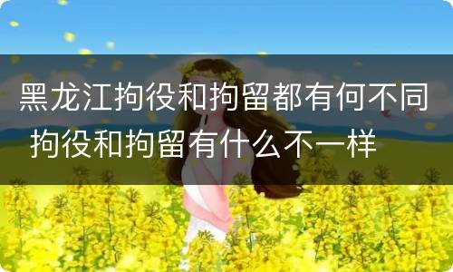 黑龙江拘役和拘留都有何不同 拘役和拘留有什么不一样