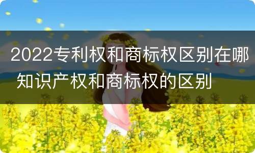 2022专利权和商标权区别在哪 知识产权和商标权的区别