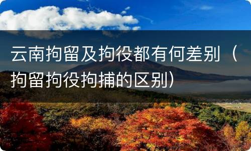 云南拘留及拘役都有何差别（拘留拘役拘捕的区别）