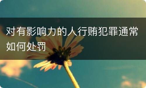 对有影响力的人行贿犯罪通常如何处罚
