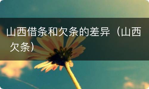 山西借条和欠条的差异（山西 欠条）