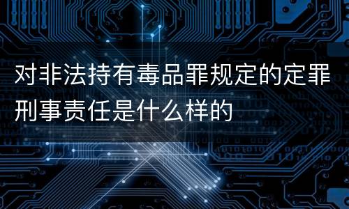 对非法持有毒品罪规定的定罪刑事责任是什么样的