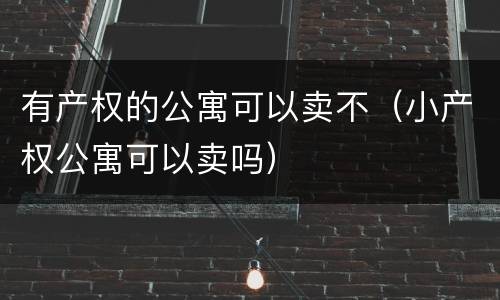 有产权的公寓可以卖不（小产权公寓可以卖吗）
