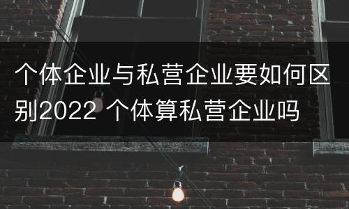 个体企业与私营企业要如何区别2022 个体算私营企业吗