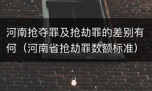 河南抢夺罪及抢劫罪的差别有何（河南省抢劫罪数额标准）