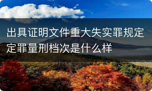 出具证明文件重大失实罪规定定罪量刑档次是什么样
