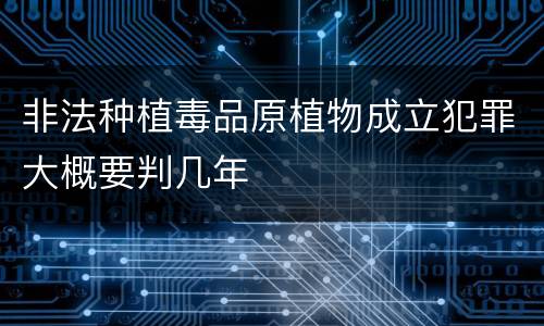 非法种植毒品原植物成立犯罪大概要判几年