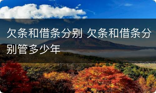 欠条和借条分别 欠条和借条分别管多少年