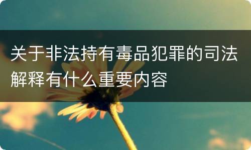 关于非法持有毒品犯罪的司法解释有什么重要内容