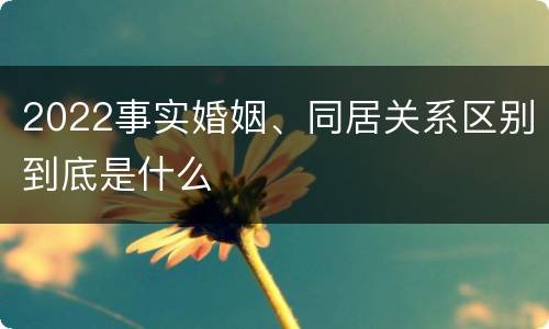 2022事实婚姻、同居关系区别到底是什么