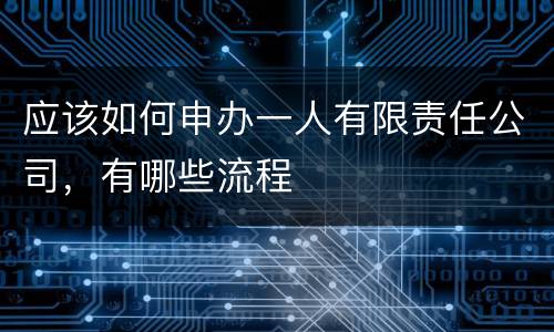 应该如何申办一人有限责任公司，有哪些流程