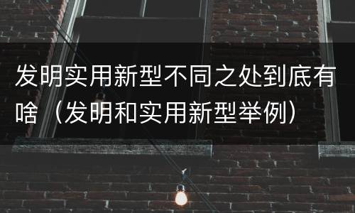 发明实用新型不同之处到底有啥（发明和实用新型举例）