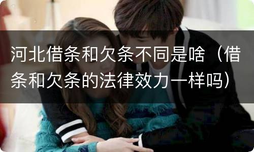 河北借条和欠条不同是啥（借条和欠条的法律效力一样吗）
