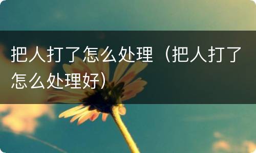 把人打了怎么处理（把人打了怎么处理好）