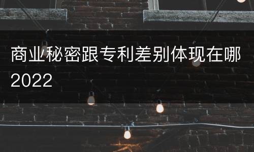 商业秘密跟专利差别体现在哪2022