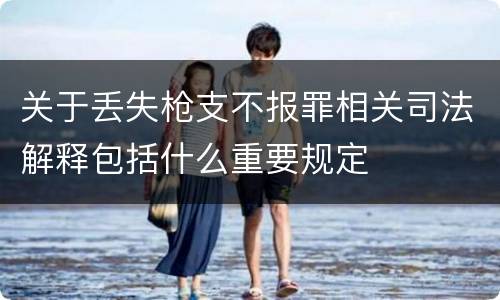 关于丢失枪支不报罪相关司法解释包括什么重要规定