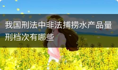 我国刑法中非法捕捞水产品量刑档次有哪些
