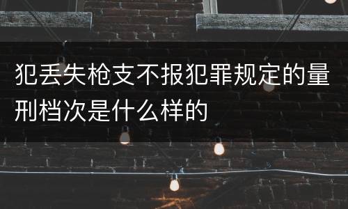 犯丢失枪支不报犯罪规定的量刑档次是什么样的