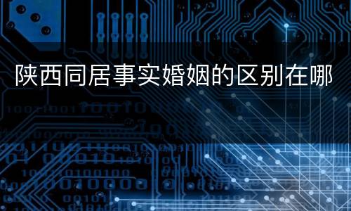 陕西同居事实婚姻的区别在哪
