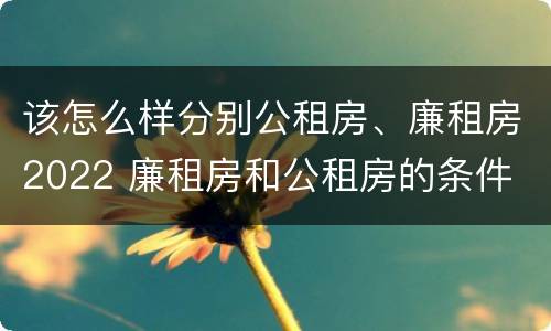 该怎么样分别公租房、廉租房2022 廉租房和公租房的条件