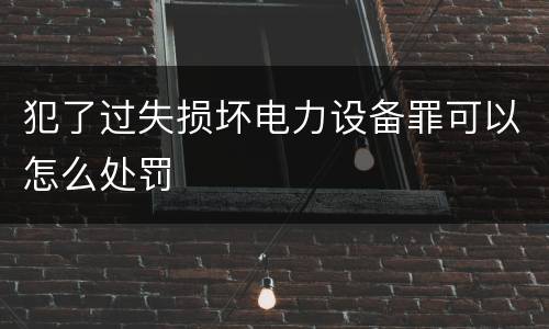 犯了过失损坏电力设备罪可以怎么处罚