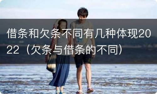 借条和欠条不同有几种体现2022（欠条与借条的不同）