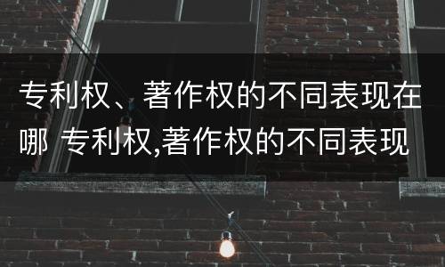 专利权、著作权的不同表现在哪 专利权,著作权的不同表现在哪方面