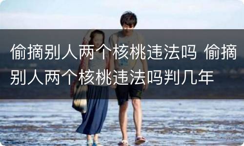 偷摘别人两个核桃违法吗 偷摘别人两个核桃违法吗判几年