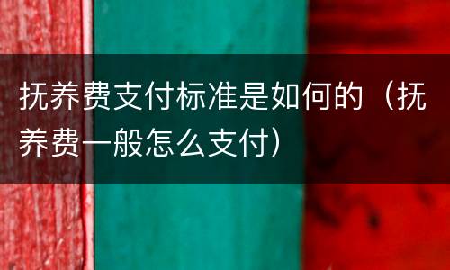 抚养费支付标准是如何的（抚养费一般怎么支付）