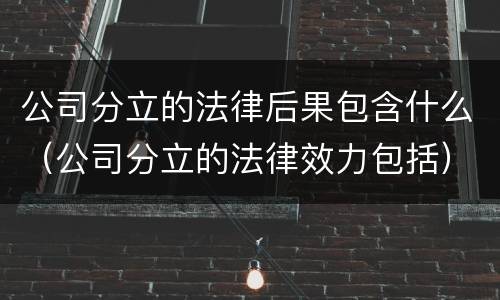 公司分立的法律后果包含什么（公司分立的法律效力包括）
