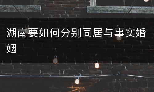 湖南要如何分别同居与事实婚姻