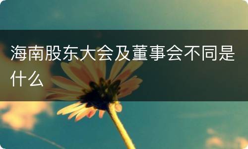 海南股东大会及董事会不同是什么