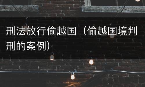 刑法放行偷越国（偷越国境判刑的案例）