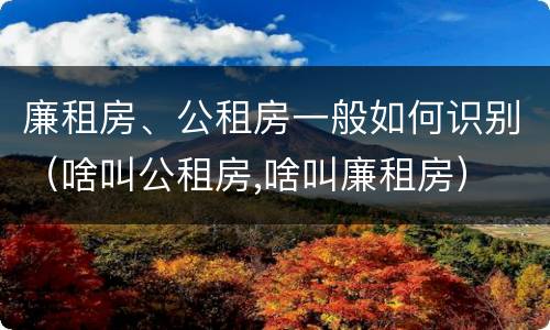 廉租房、公租房一般如何识别（啥叫公租房,啥叫廉租房）