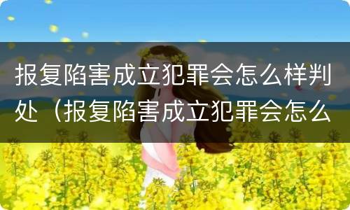 报复陷害成立犯罪会怎么样判处（报复陷害成立犯罪会怎么样判处呢）